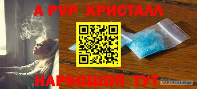 эйфоретик Краснознаменск