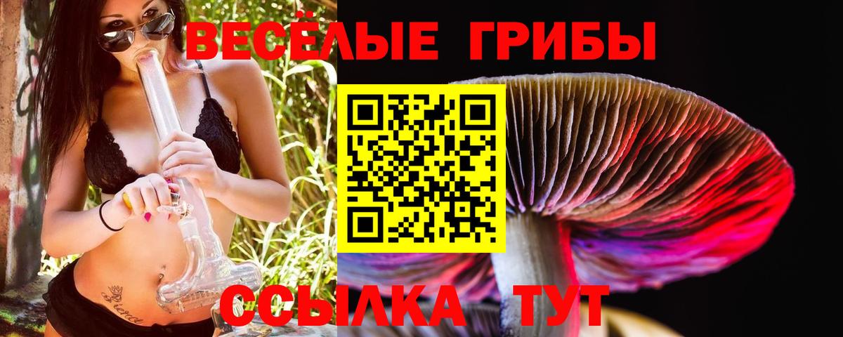 Галлюциногенные грибы GOLDEN TEACHER Гусев