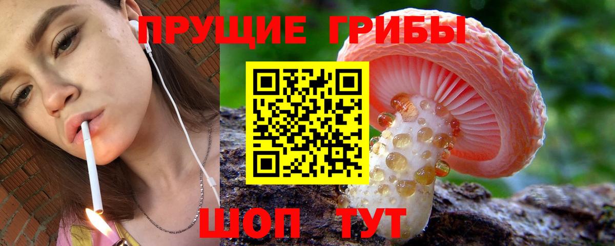 Гусев  Галлюциногенные грибы Psilocybine cubensis  хочу наркоту  Галлюциногенные грибы Magic Shrooms  Вход с VPN 