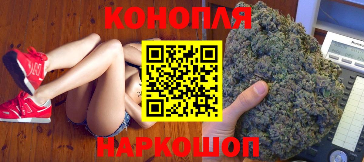 Бошки Шишки семена Гусев